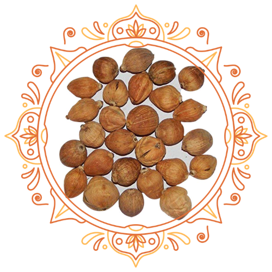 लघु नारियल